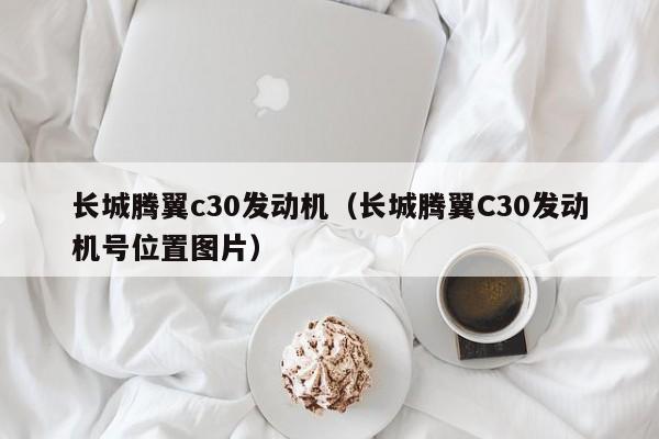 长城腾翼c30发动机（长城腾翼C30发动机号位置图片）