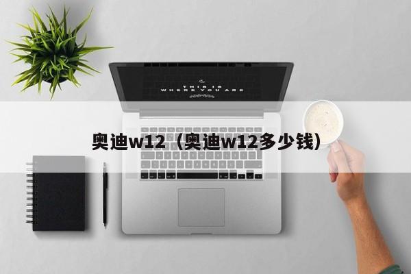 奥迪w12（奥迪w12多少钱）