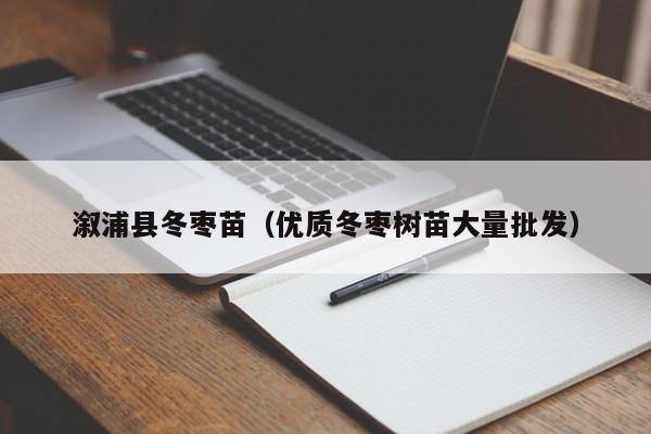 溆浦县冬枣苗（优质冬枣树苗大量批发）