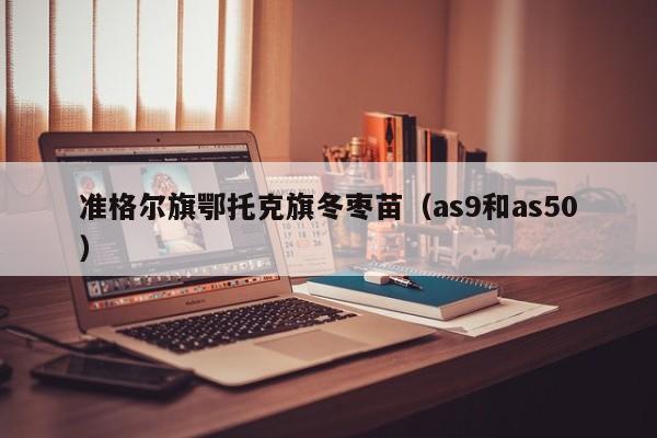 准格尔旗鄂托克旗冬枣苗（as9和as50）