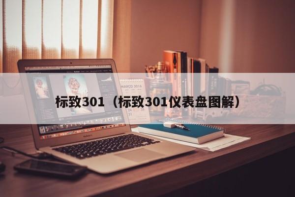 标致301（标致301仪表盘图解）