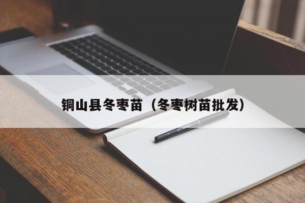 铜山县冬枣苗（冬枣树苗批发）